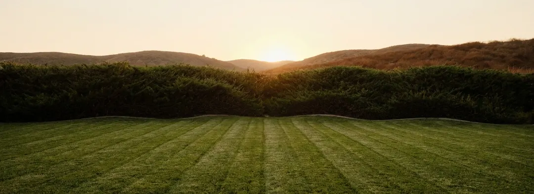 Short cut grass in alternating light and dark rows fills the lower third of the frame and runs to a dark unbroken hedge, with warm light behind the hedge, two dry ridges beyond it and pale sky above.